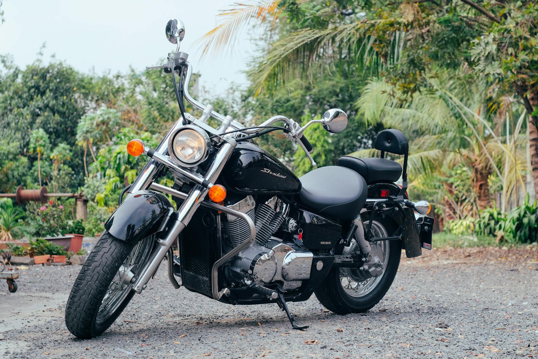 Honda Vt600 Shadow Vlx