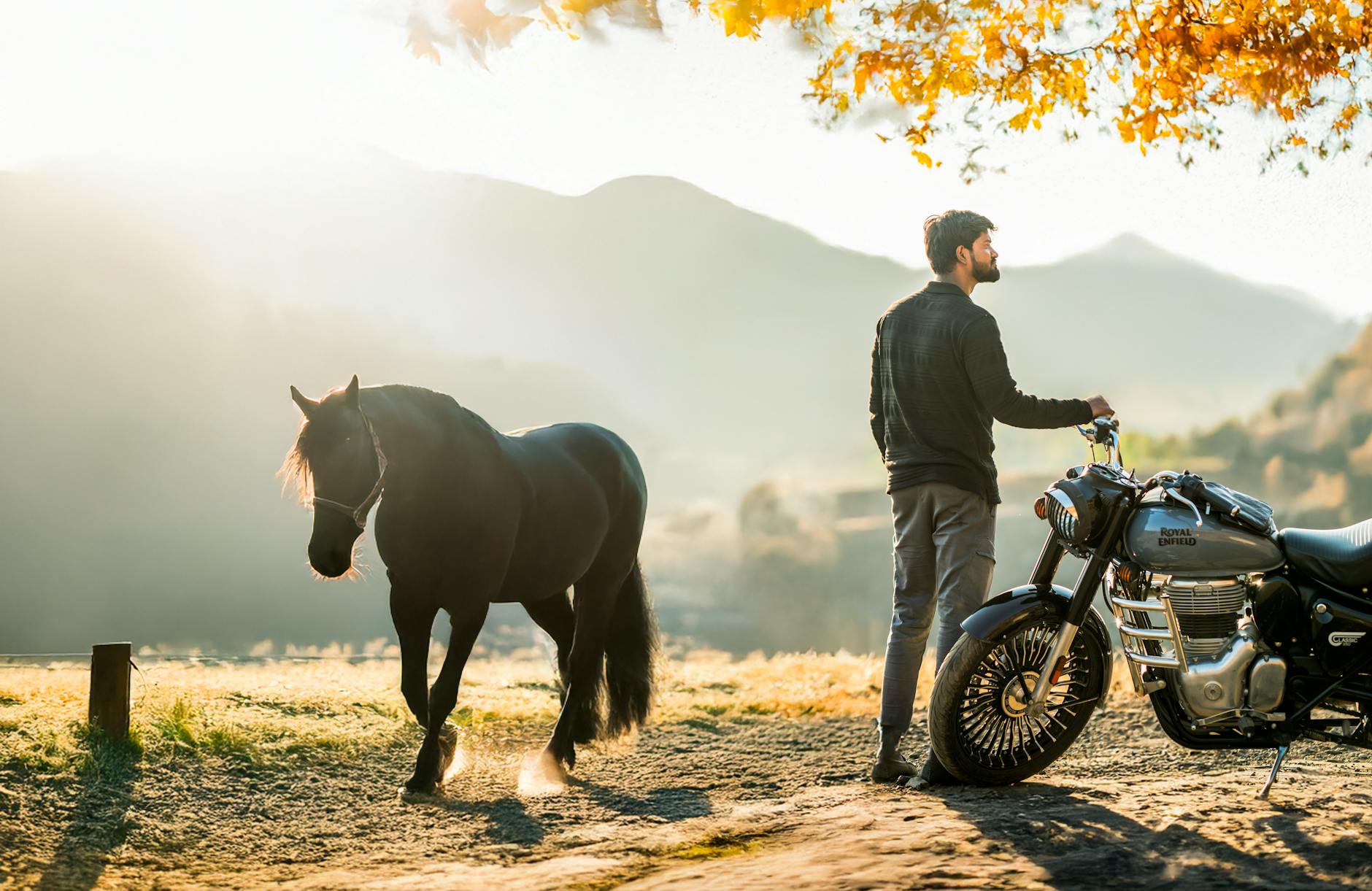 Indian Chieftain Dark Horse